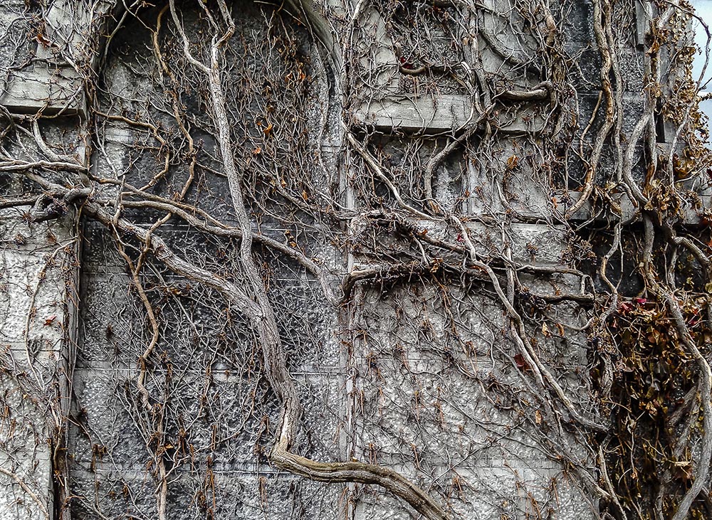 Hall of Languages Facade (Photo by Francis DiClemente)