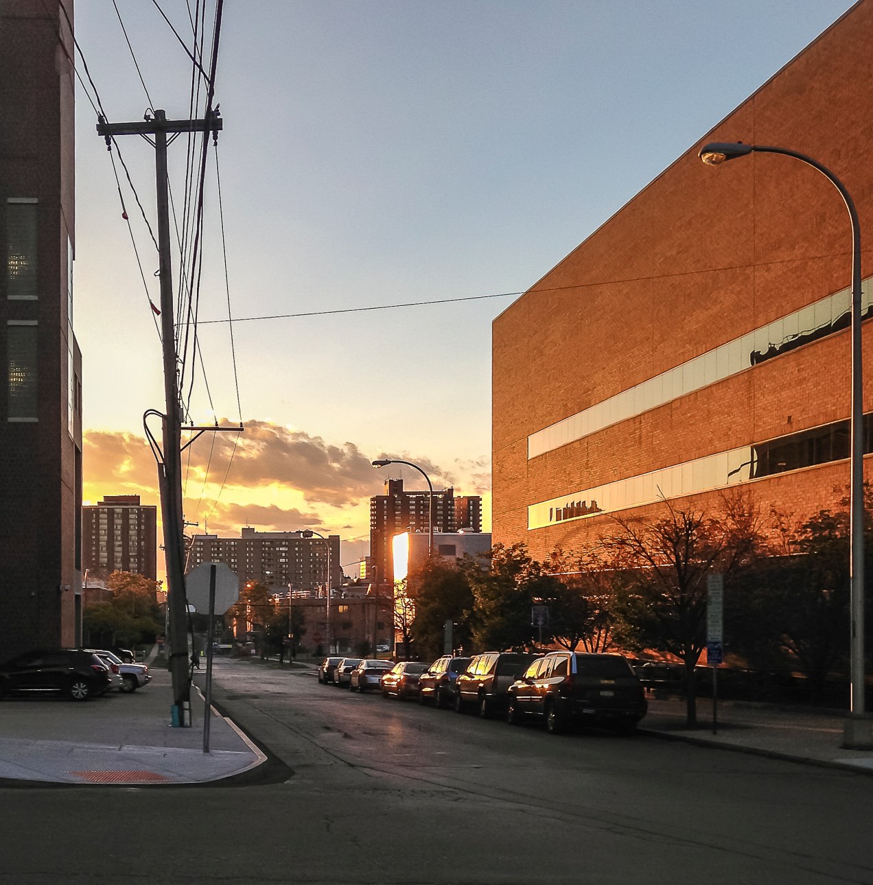 Morning on Madison Street (Photo by Francis DiClemente)