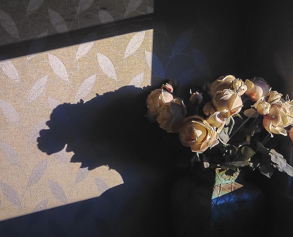 Fake Flowers in Medical Office (Photo by Francis DiClemente)