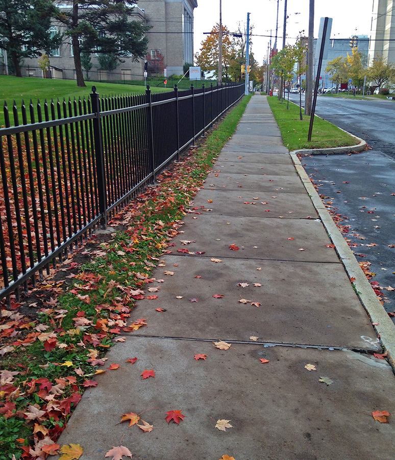 Looking southbound along South Crouse Avenue.